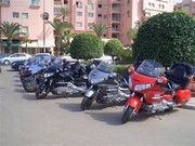 GoLdWiNg cLuB